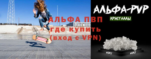стаф Алексин