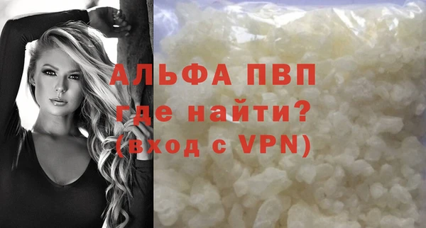 стаф Алексин