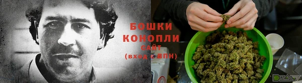 прущие грибы Алзамай