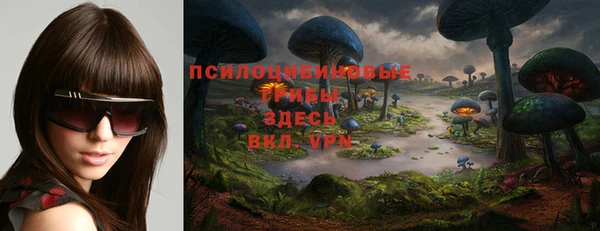 прущие грибы Алзамай